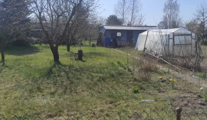 Działka rod Pajęczno, ul. Sadowa