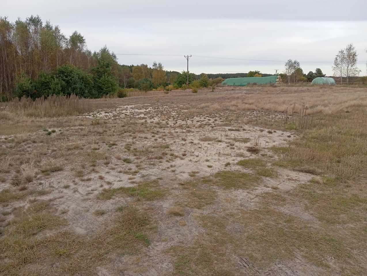 Działka budowlana Iwiec. Zdjęcie 4