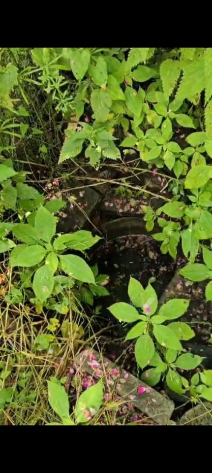 Działka rod Trzebiatów. Zdjęcie 2