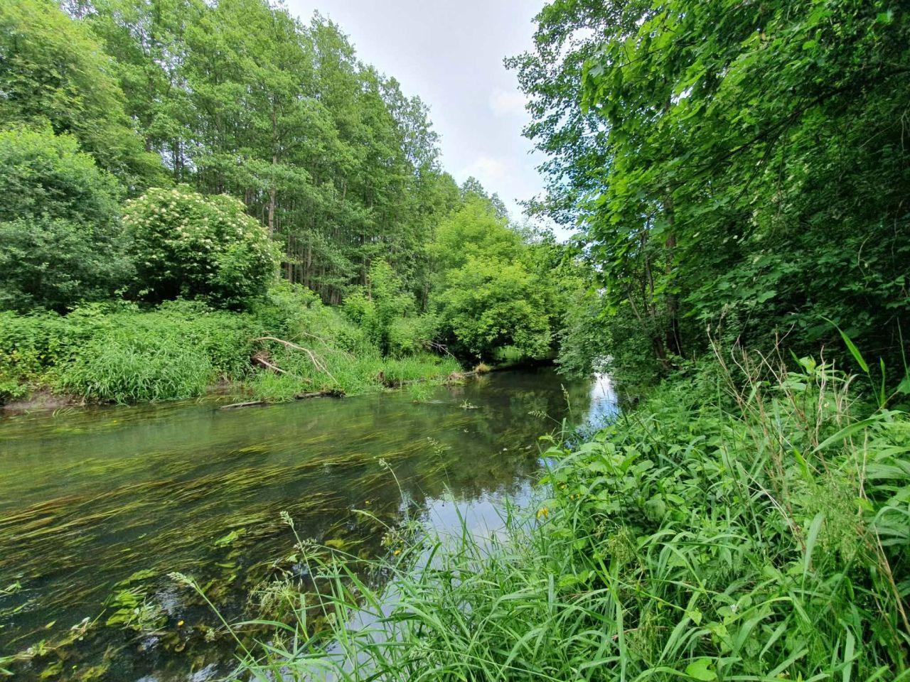 Działka budowlana Żochowo. Zdjęcie 6