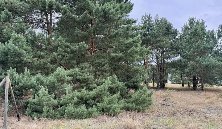 Działka budowlana Małe Rudy, ul. Szlak Królewski