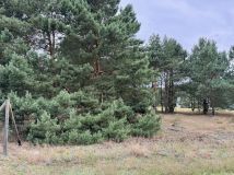 Działka budowlana Małe Rudy, ul. Szlak Królewski