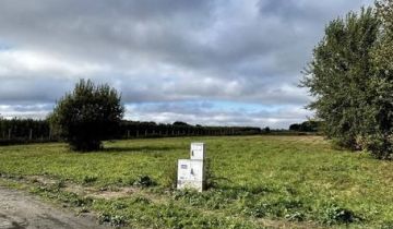 Działka budowlana Całowanie