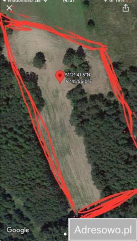 Działka siedliskowa Mikorzyce. Zdjęcie 1