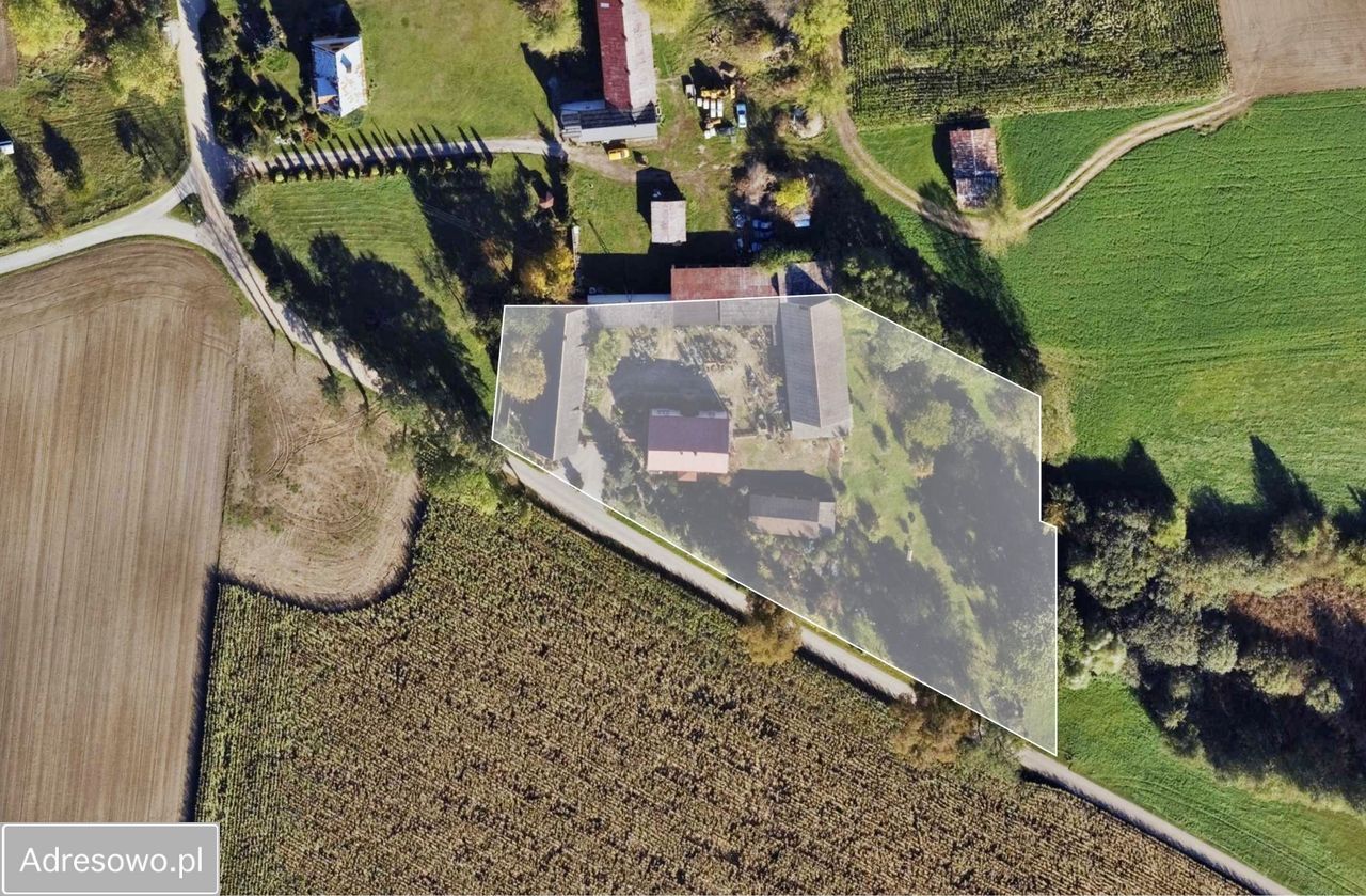 siedlisko, 4 pokoje Długie Parcele. Zdjęcie 6