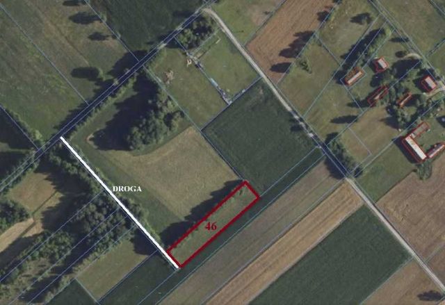 Działka rolno-budowlana Danówek. Zdjęcie 1