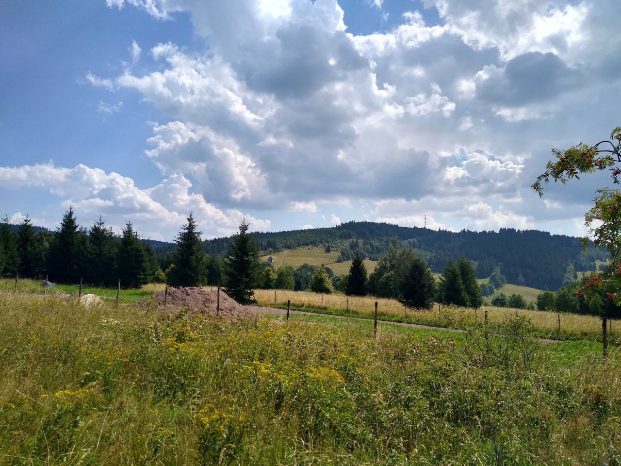 Działka Sierpnica. Zdjęcie 8