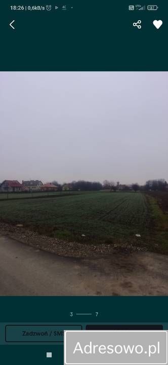 Działka rolno-budowlana Gorliczyna. Zdjęcie 2