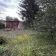 Działka rod Ciechocinek Kępa Dzikowska, ul. Cypriana Kamila Norwida. Zdjęcie 2