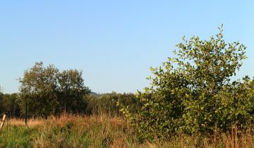 Działka budowlana Domaszków, ul. Śnieżna