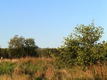 Działka budowlana Domaszków, ul. Śnieżna