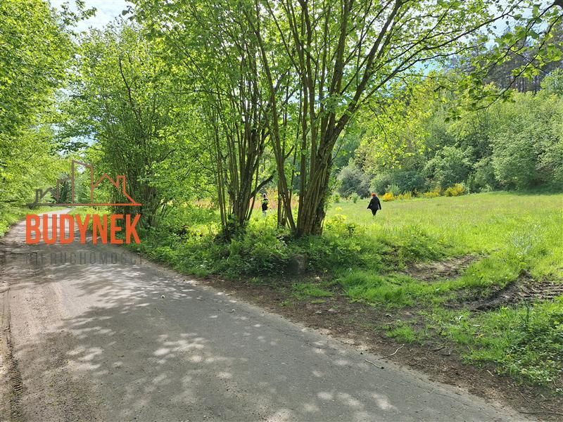 Działka rolna Paproty. Zdjęcie 4