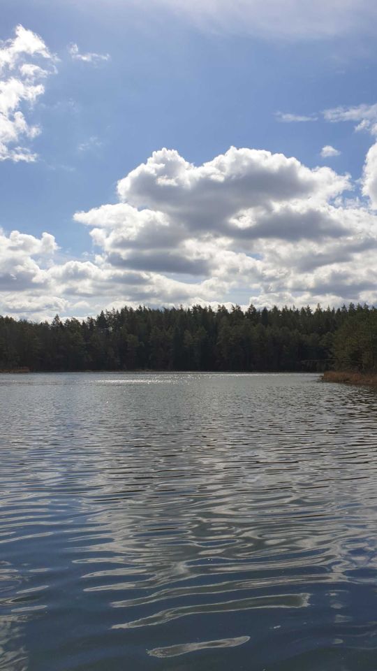 Działka rolna Wigrańce. Zdjęcie 5