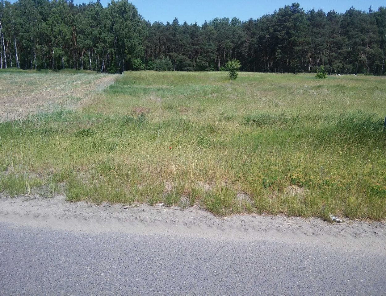 Działka budowlana Słopanowo Słopanowo-Huby. Zdjęcie 4