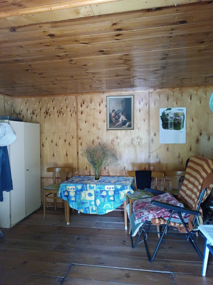 Działka rod Starachowice, ul. Nowowiejska. Zdjęcie 2