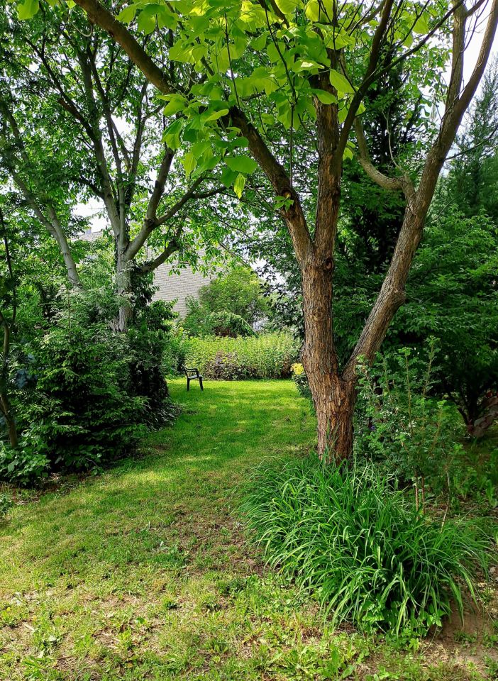 Działka siedliskowa Podłęcze. Zdjęcie 12