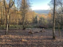 Działka rekreacyjna Krościenko nad Dunajcem. Zdjęcie 1