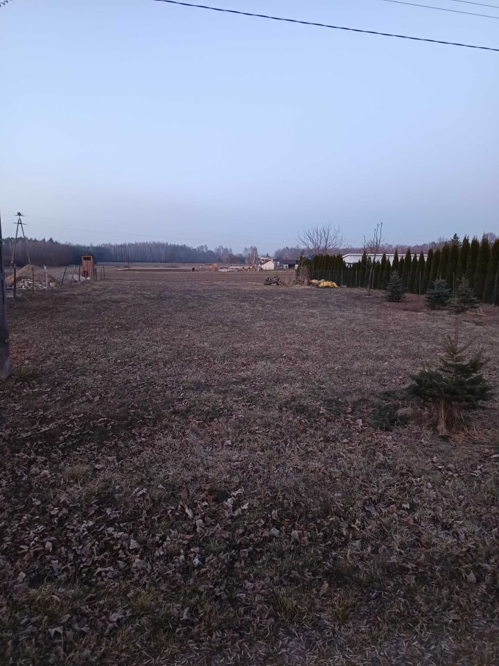 Działka rolno-budowlana Osiny. Zdjęcie 2