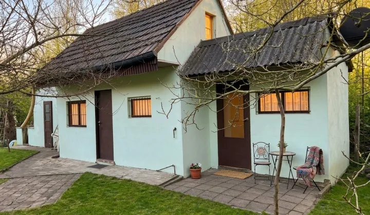 Działka rod Ostrów Wielkopolski, ul. Gorzycka