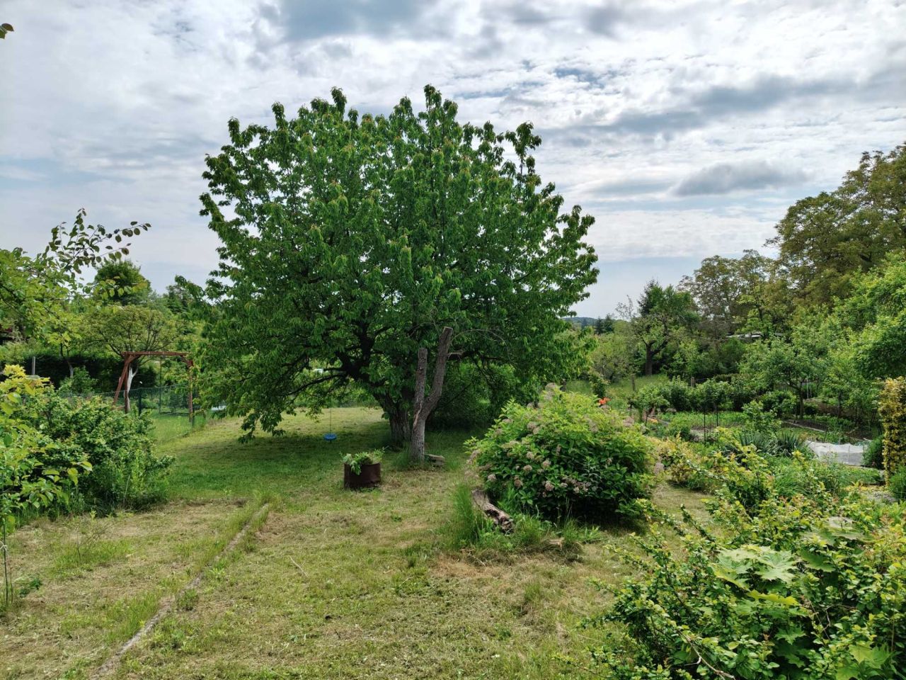 Działka rod Zielona Góra, ul. Ptasia. Zdjęcie 6
