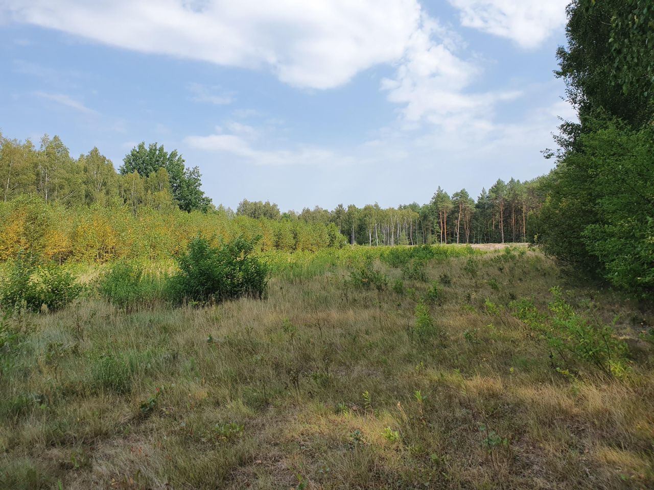 Działka budowlana Klembów. Zdjęcie 2