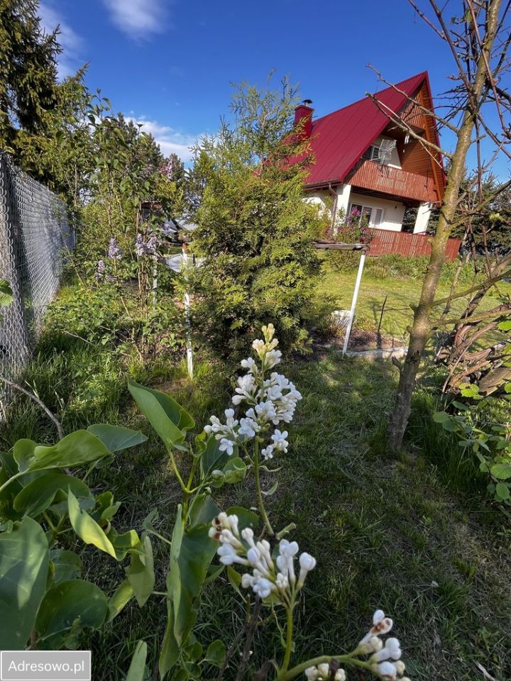 dom wolnostojący, 3 pokoje Zynie. Zdjęcie 14
