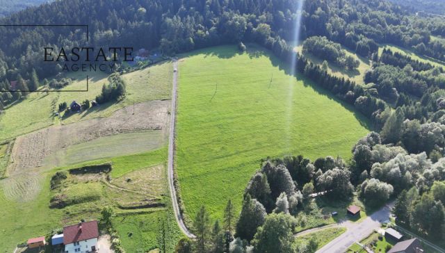 Działka inwestycyjna Kamianna. Zdjęcie 3