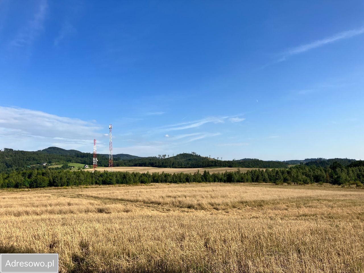 Działka budowlana Dębowina. Zdjęcie 6