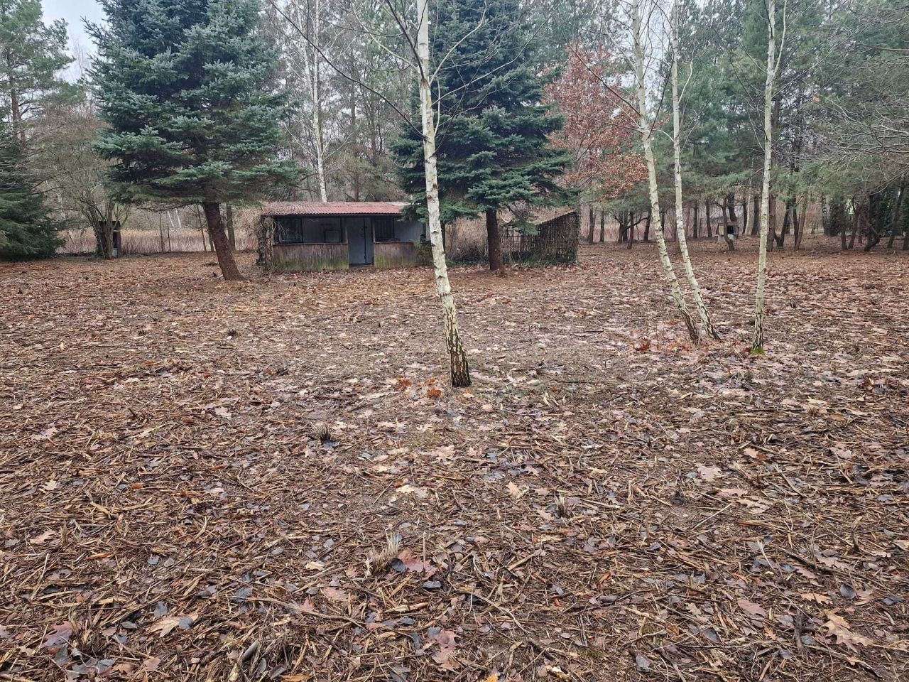 Działka budowlana Wola Prażmowska, ul. Leśna. Zdjęcie 4