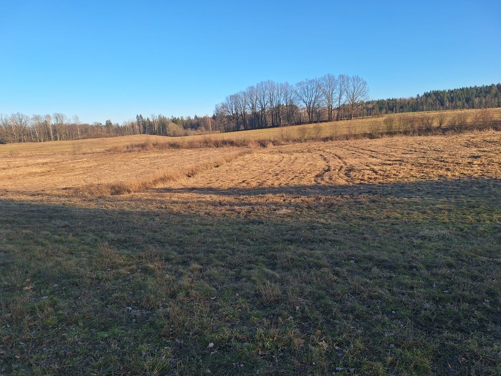 Działka rolna Kruszewiec. Zdjęcie 6