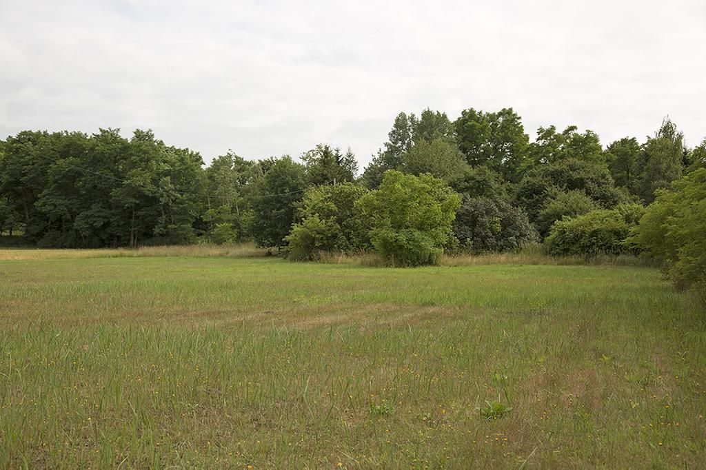 Działka siedliskowa Wola Ładowska. Zdjęcie 8