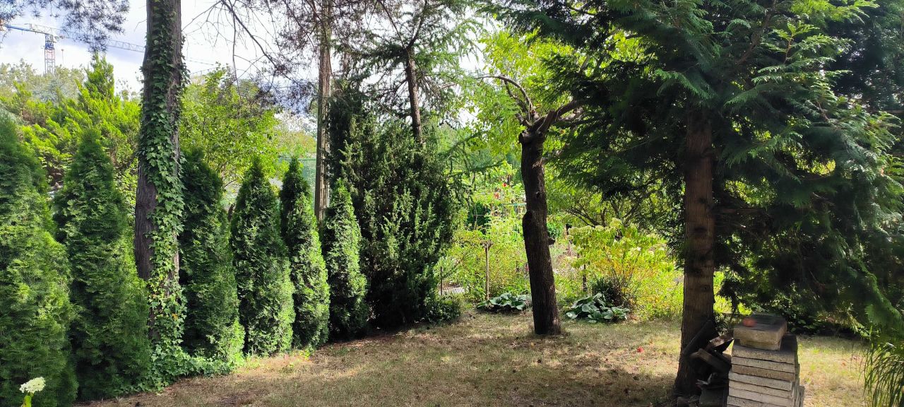 Działka rod Łódź Śródmieście, ul. ks. bp. Wincentego Tymienieckiego. Zdjęcie 8