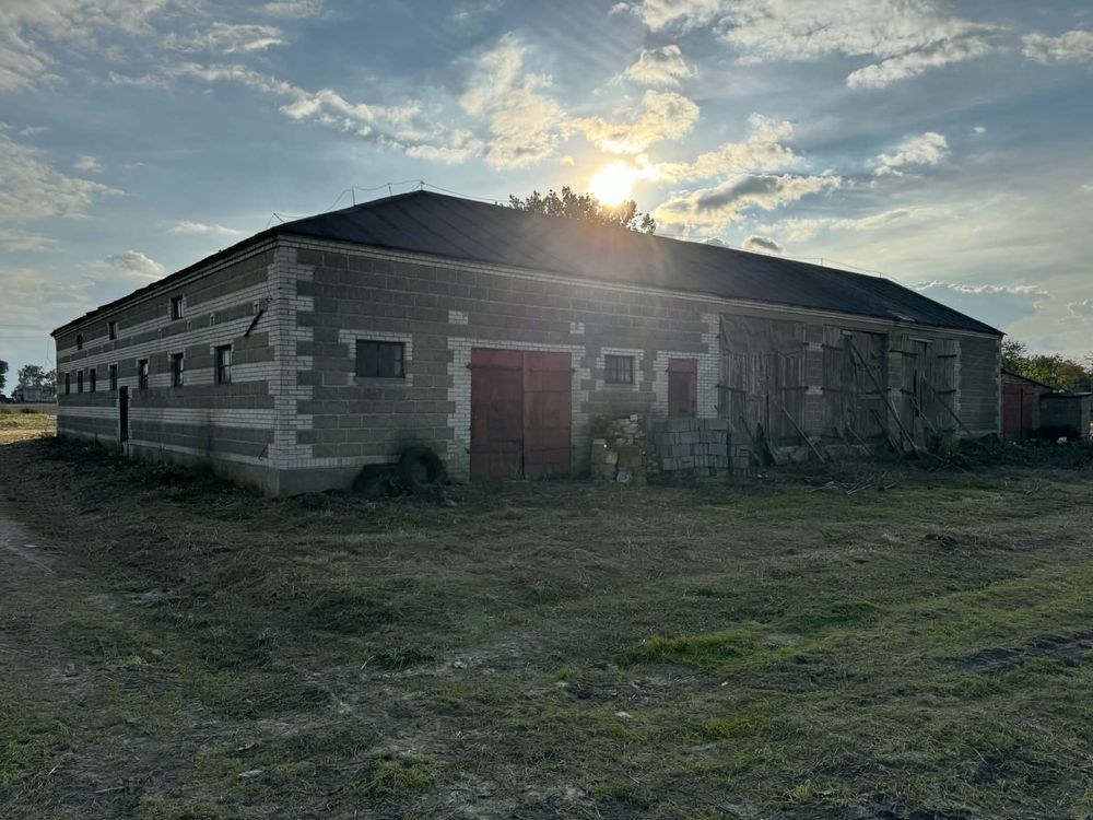 Nieruchomość komercyjna Muchnice Nowe. Zdjęcie 6