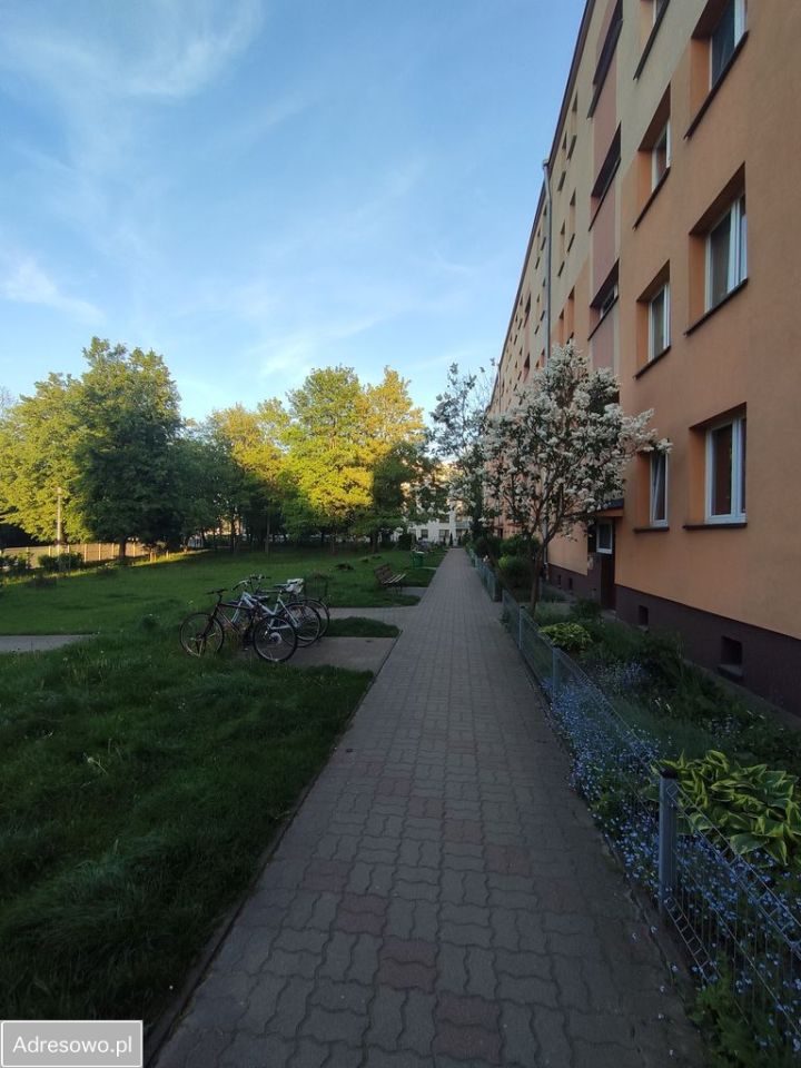 Mieszkanie 3-pokojowe Siedlce, ul. Hozera. Zdjęcie 8