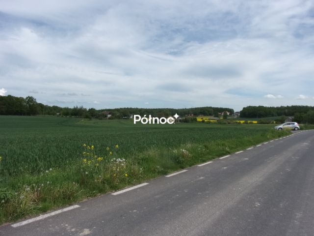 Działka rolna Wartowice. Zdjęcie 2