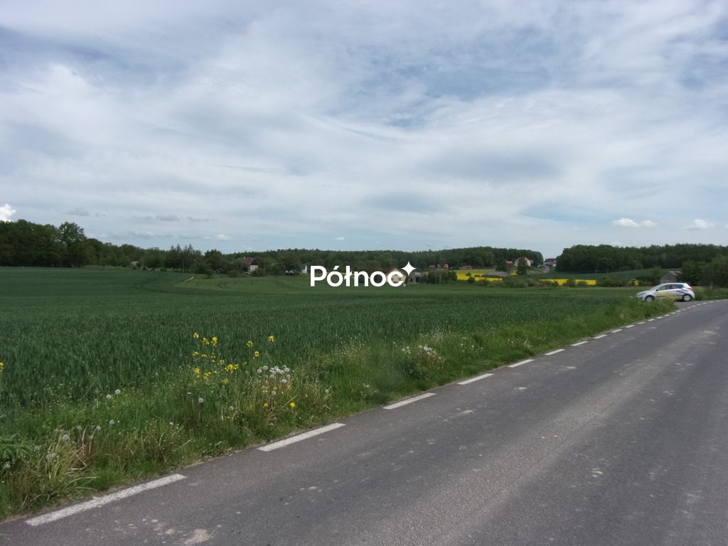 Działka rolna Wartowice. Zdjęcie 2