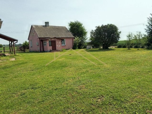 siedlisko Bonów. Zdjęcie 5