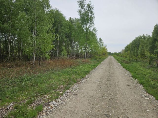 Działka budowlana Kąck. Zdjęcie 6