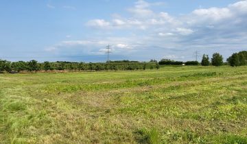 Działka rolna Przyłom