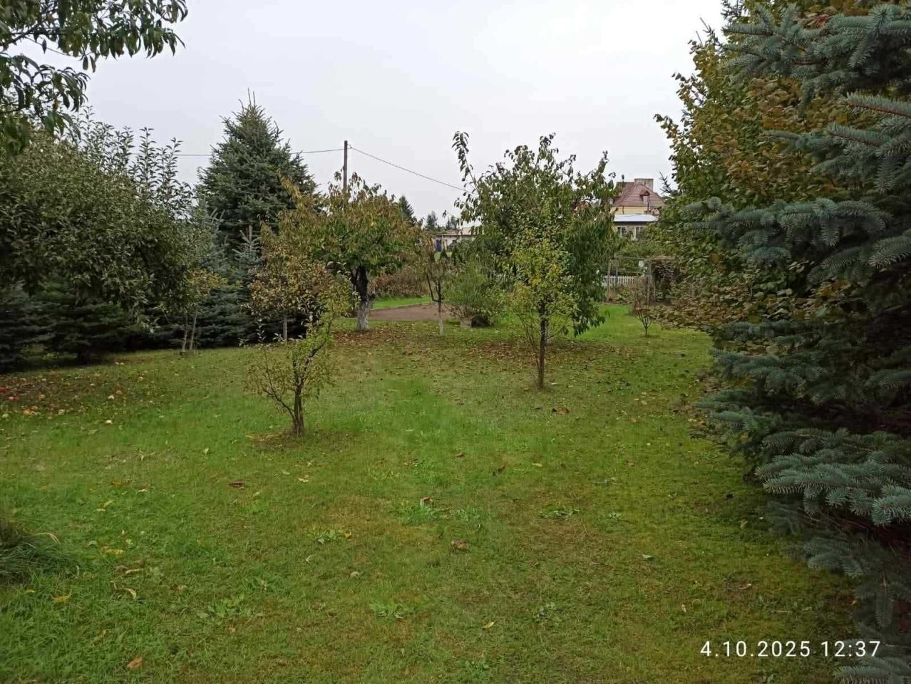 Działka Bierzwnik. Zdjęcie 2