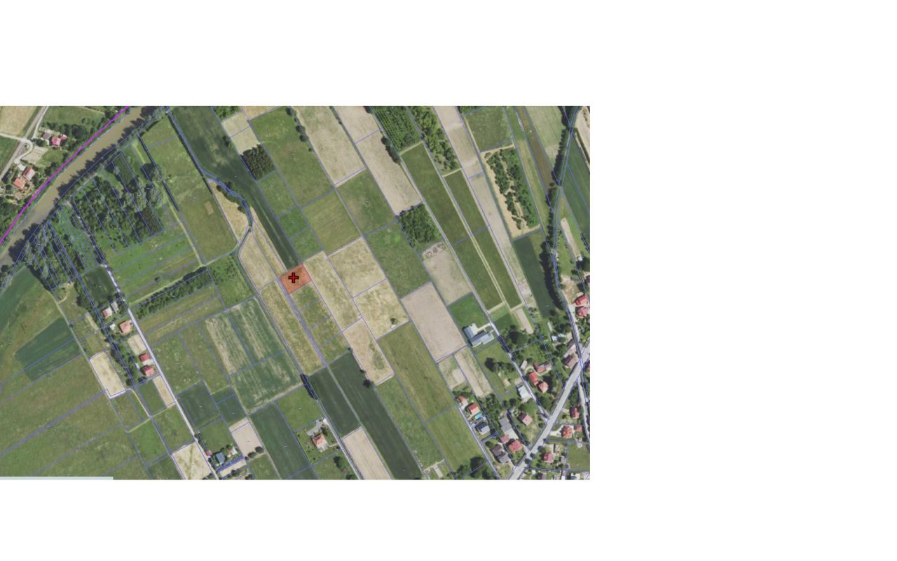 Działka rolno-budowlana Siedliska. Zdjęcie 3