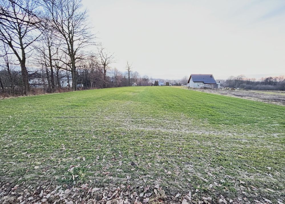 Działka rolno-budowlana Dankowice, ul. Oświęcimska. Zdjęcie 1
