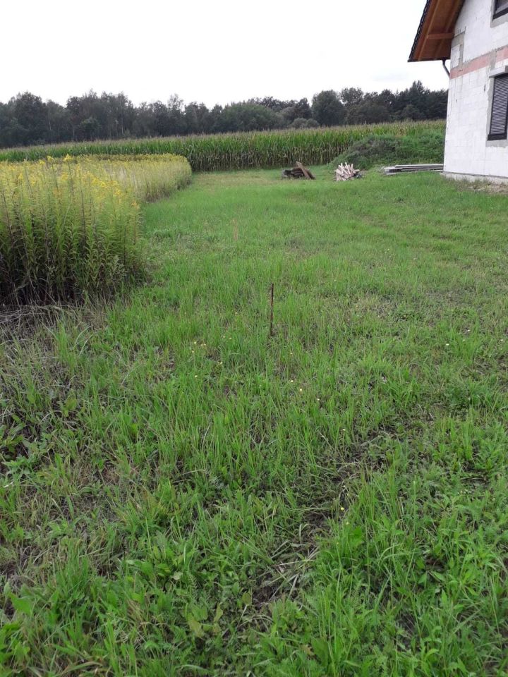 Działka budowlana Krzeczyn. Zdjęcie 4