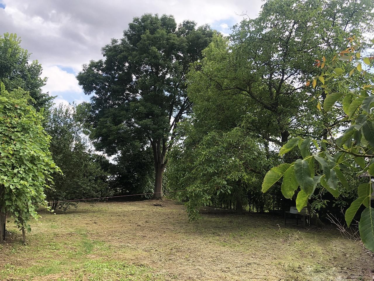 inny Połaniec, ul. Krakowska Duża. Zdjęcie 4