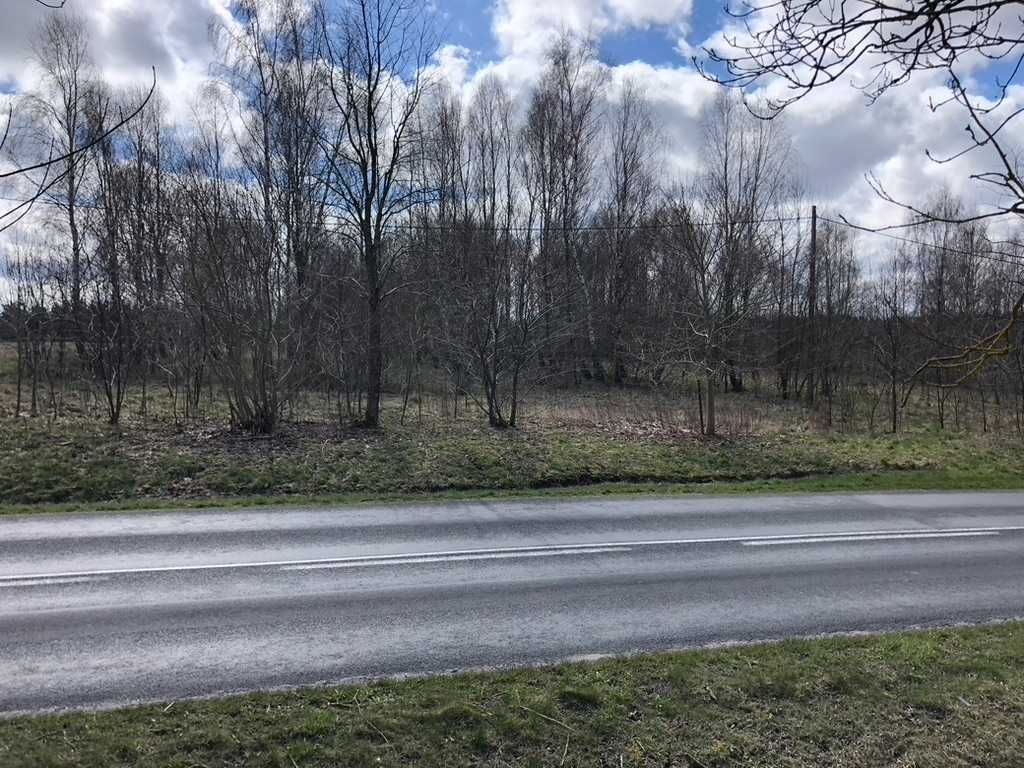 Działka budowlana Jazy. Zdjęcie 5