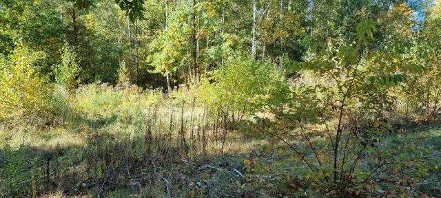 Działka budowlana Żółwin. Zdjęcie 7