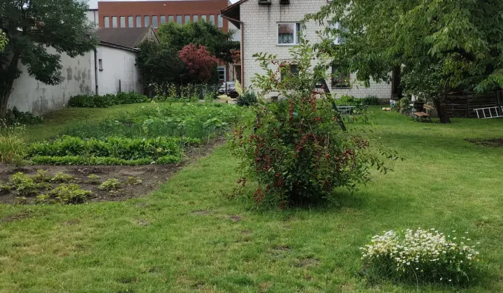 dom wolnostojący, 5 pokoi Dobre, ul. Fabryczna