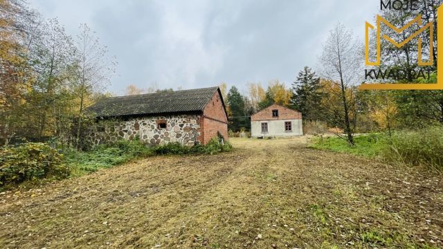 dom wolnostojący, 4 pokoje Drużbice-Kolonia. Zdjęcie 9