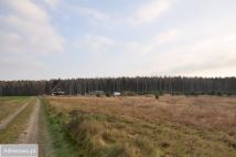 Działka rolno-budowlana Radzewo. Zdjęcie 4