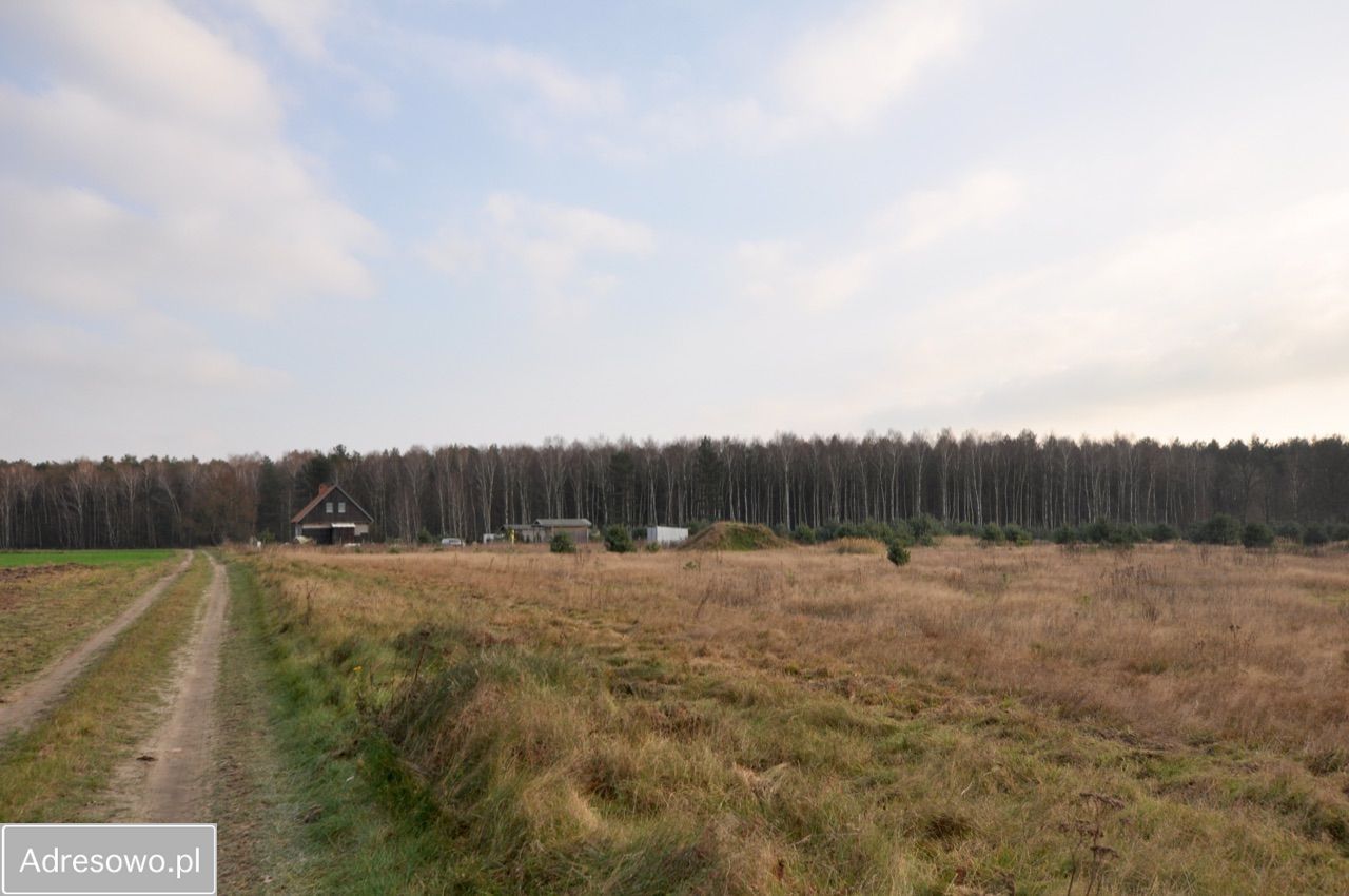 Działka rolno-budowlana Radzewo. Zdjęcie 5